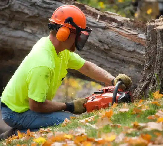 tree services Wanamingo